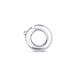 Load image into Gallery viewer, Charm Hoop