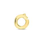 Load image into Gallery viewer, Charm Hoop